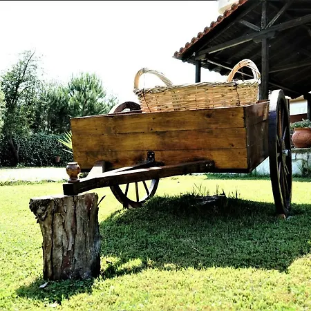 Karvounoskala